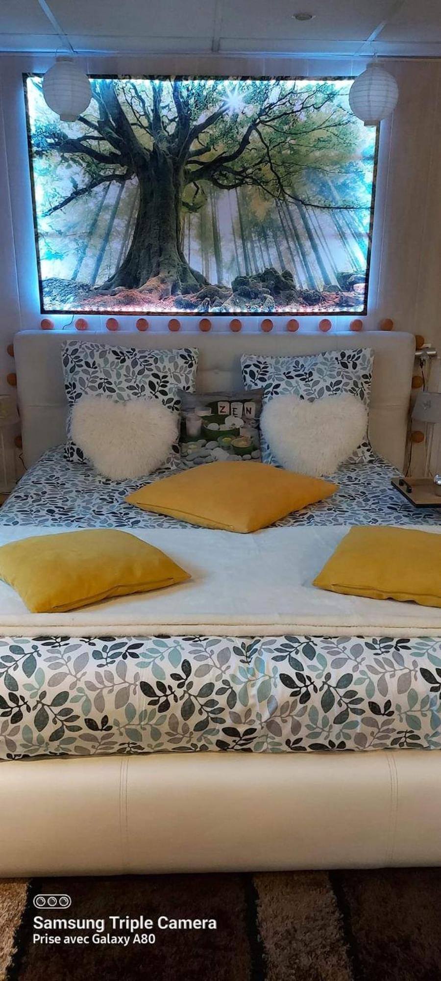Bateau-hôtel Peniche Morgane 2 Sas Les Betises